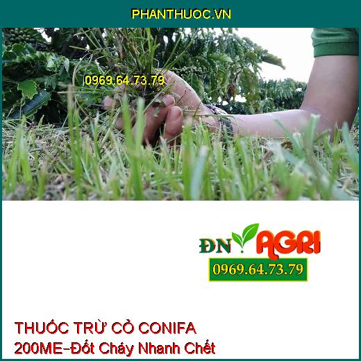 THUỐC TRỪ CỎ CONIFA 200ME –Đốt Cháy Nhanh Chết Các Loại Cỏ Khó Trị