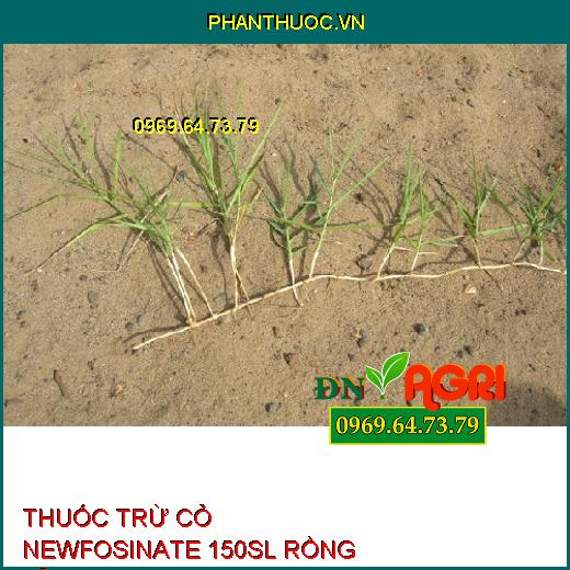 THUỐC TRỪ CỎ NEWFOSINATE 150SL RỒNG LỬA – Diệt Cỏ Khó Trị Mần Trầu, Cỏ Tranh