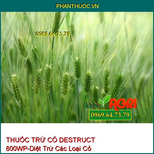 THUỐC TRỪ CỎ CHỌN LỌC DESTRUCT 800WP-Diệt Trừ Các Loại Cỏ Hằng Niên, Cỏ Lá Hẹp Trên Ngô, Mía, Quế