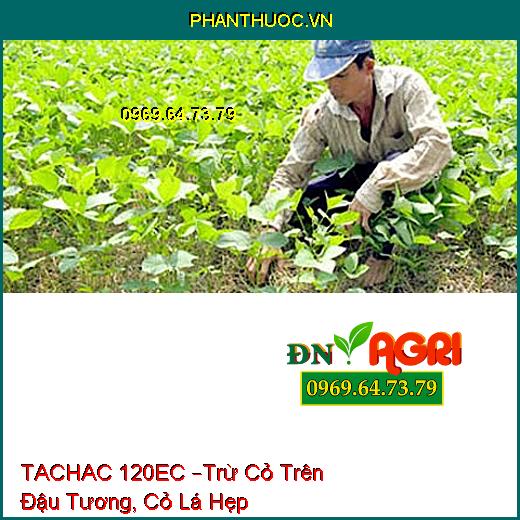 TACHAC 120EC –Trừ Cỏ Trên Đậu Tương, Cỏ Lá Hẹp Hàng Năm, Lâu Năm