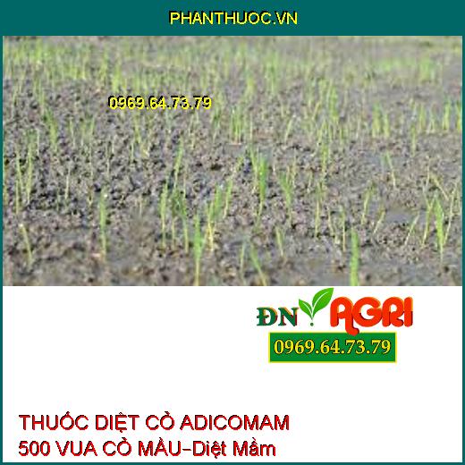 THUỐC DIỆT CỎ ADICOMAM 500 VUA CỎ MẦU–Diệt Mầm Cỏ Ở Cạn Giai Đoạn Tiền Nẩy Mầm