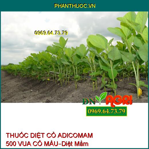 THUỐC DIỆT CỎ ADICOMAM 500 VUA CỎ MẦU–Diệt Mầm Cỏ Ở Cạn Giai Đoạn Tiền Nẩy Mầm