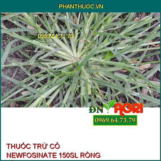 THUỐC TRỪ CỎ NEWFOSINATE 150SL RỒNG LỬA – Diệt Cỏ Khó Trị Mần Trầu, Cỏ Tranh