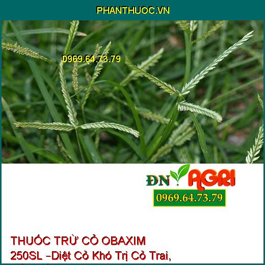 THUỐC TRỪ CỎ OBAXIM 250SL –Diệt Cỏ Khó Trị Cỏ Trai, Mần Trầu, Cỏ Tranh, Cỏ Chỉ