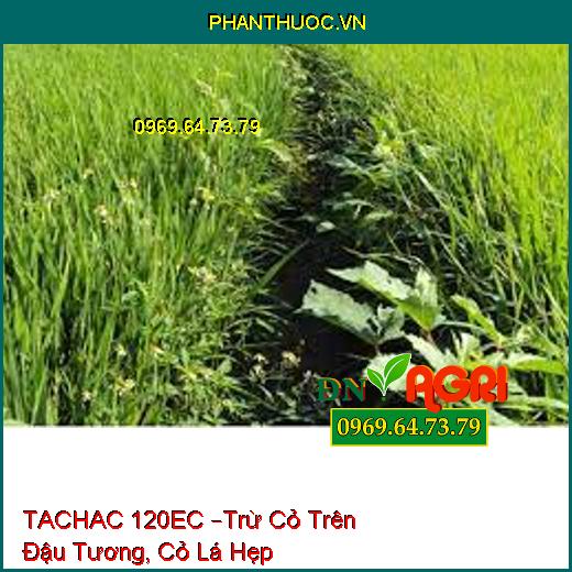 TACHAC 120EC –Trừ Cỏ Trên Đậu Tương, Cỏ Lá Hẹp Hàng Năm, Lâu Năm