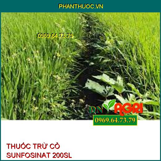 THUỐC TRỪ CỎ SUNFOSINAT 200SL GLUMOXONE 200 –Đặc Trị Cỏ Lá Rộng Và Lá Hẹp