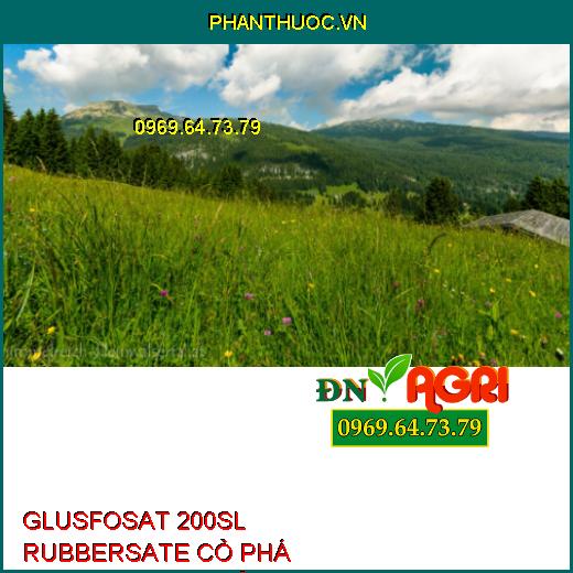 GLUSFOSAT 200SL RUBBERSATE CỎ PHÁ HOANG-Diệt Cỏ Phổ Rộng, Kiểm Soát Cỏ Dại