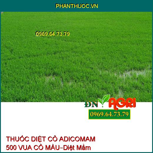 THUỐC DIỆT CỎ ADICOMAM 500 VUA CỎ MẦU–Diệt Mầm Cỏ Ở Cạn Giai Đoạn Tiền Nẩy Mầm