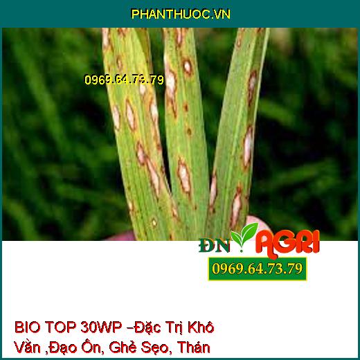 THUỐC TRỪ BỆNH SINH HỌC BIO TOP 30WP –Đặc Trị Khô Vằn ,Đạo Ôn, Ghẻ Sẹo, Thán Thư