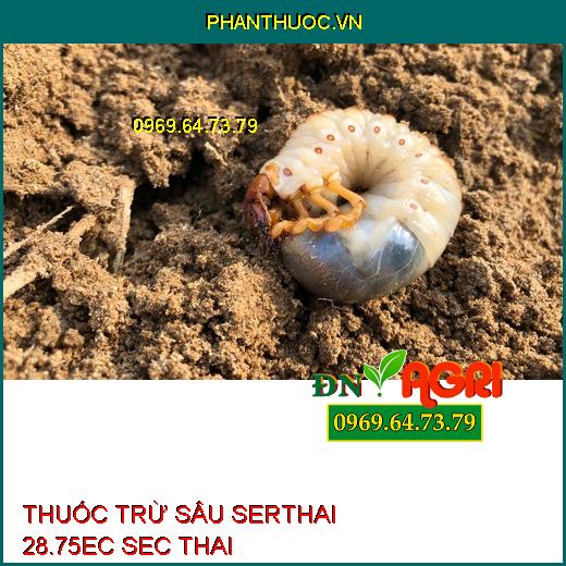 THUỐC TRỪ SÂU SERTHAI 28.75EC SEC THAI – Đặc Trị Rệp Sáp, Tuyến Trùng, Mọt Đục Cành, Đục Quả