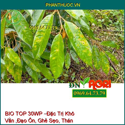 THUỐC TRỪ BỆNH SINH HỌC BIO TOP 30WP –Đặc Trị Khô Vằn ,Đạo Ôn, Ghẻ Sẹo, Thán Thư