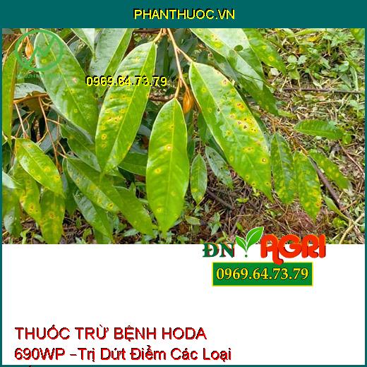 THUỐC TRỪ BỆNH HODA 690WP –Trị Dứt Điểm Các Loại Nấm, Sương Mai, Thối Nhũn