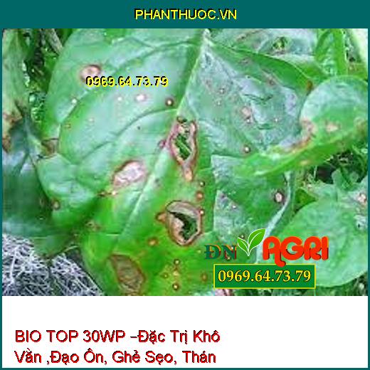 THUỐC TRỪ BỆNH SINH HỌC BIO TOP 30WP –Đặc Trị Khô Vằn ,Đạo Ôn, Ghẻ Sẹo, Thán Thư