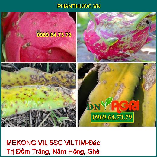 MEKONG VIL 5SC VILTIM-Đặc Trị Đốm Trắng, Nấm Hồng, Ghẻ Sẹo ,Thán Thư