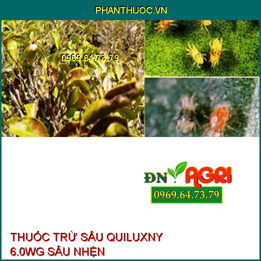 THUỐC TRỪ SÂU QUILUXNY 6.0WG SÂU NHỆN – Đặc Trị Sâu Tơ, Sâu Xanh Da Láng, Sâu Cuốn Lá