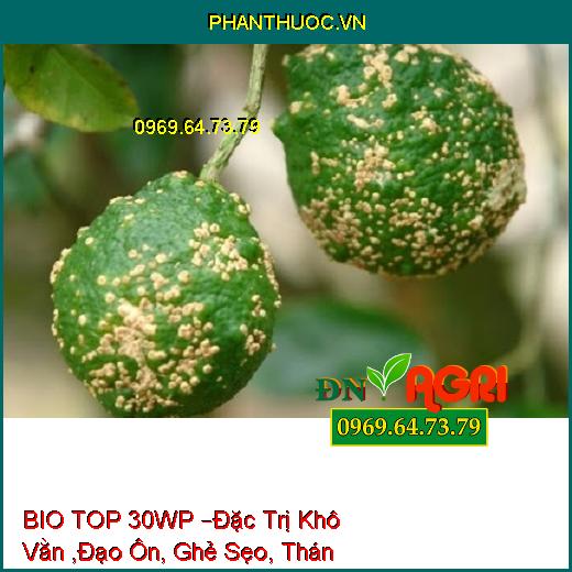 THUỐC TRỪ BỆNH SINH HỌC BIO TOP 30WP –Đặc Trị Khô Vằn ,Đạo Ôn, Ghẻ Sẹo, Thán Thư