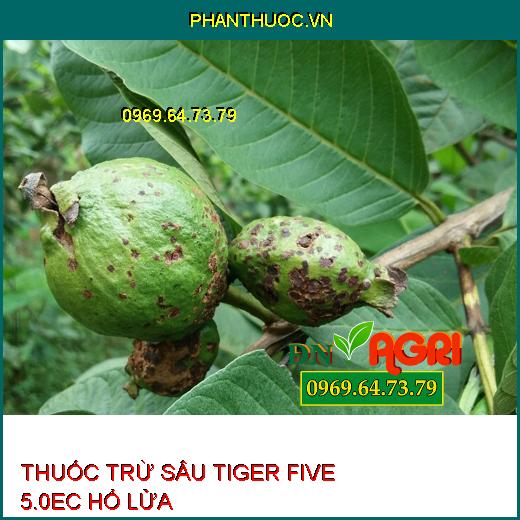 THUỐC TRỪ SÂU TIGER FIVE 5.0EC HỔ LỬA – Đặc Trị Sâu Vẽ Bùa, Sâu Xanh Da Láng, Ruồi Vàng, Rầy Xanh, Bọ Xít Muỗi, Bọ Trĩ, Nhện Đỏ