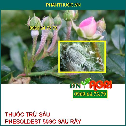 THUỐC TRỪ SÂU PHESOLDEST 50SC SÂU RẦY HI-TECH 5.0 – Đặc Trị Rầy Lưng Trắng, Rầy Xanh