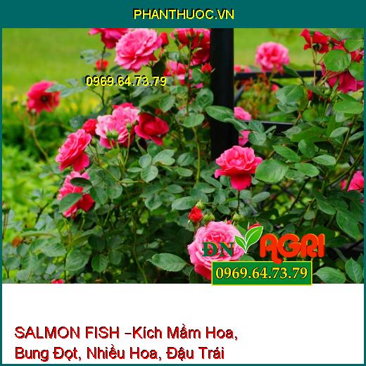 PHÂN BÓN HỮU CƠ SALMON FISH –Kích Mầm Hoa, Bung Đọt, Cho Nhiều Hoa, Đậu Trái