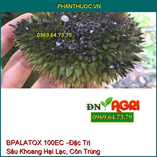 THUỐC TRỪ SÂU BPALATOX 100EC –Đặc Trị Sâu Khoang Hại Lạc, Côn Trùng Chích Hút