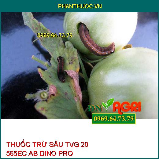 THUỐC TRỪ SÂU TVG 20 565EC AB DINO PRO- Đặc Trị Rệp Sáp, Phòng Trừ Sâu Ruồi Rầy