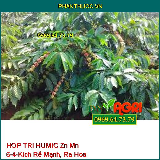 PHÂN BÓN LÁ VI LƯỢNG HOP TRI HUMIC Zn Mn 6-4-Kích Rễ Mạnh, Ra Hoa, Đậu Trái, Kết Hạt