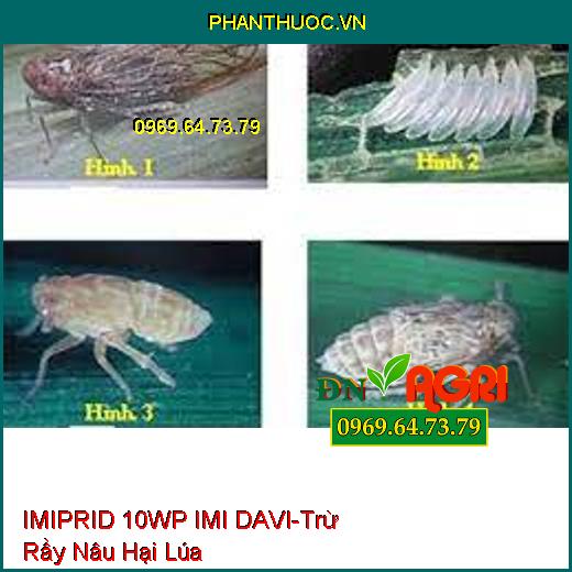 THUỐC TRỪ SÂU IMIPRID 10WP IMI DAVI-Trừ Rầy Nâu Hại Lúa, Rầy Cám, Rầy Trưởng Thành