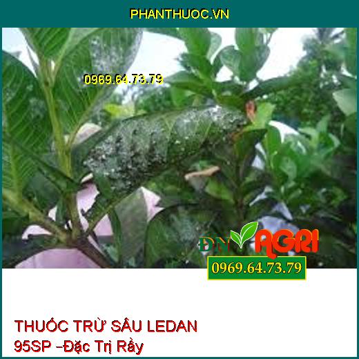 THUỐC TRỪ SÂU LEDAN 95SP –Đặc Trị Sâu Đục Thân Trên Lúa, Sâu Rầy Kháng Thuốc