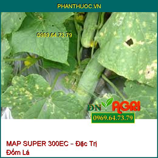 MAP SUPER 300EC –Đặc Trị Lem Lép Hạt, Rỉ Sắt, Thán Thư Cây Trồng