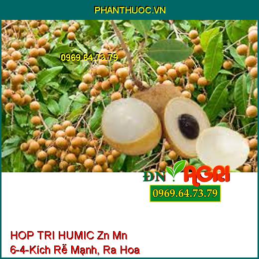 PHÂN BÓN LÁ VI LƯỢNG HOP TRI HUMIC Zn Mn 6-4-Kích Rễ Mạnh, Ra Hoa, Đậu Trái, Kết Hạt