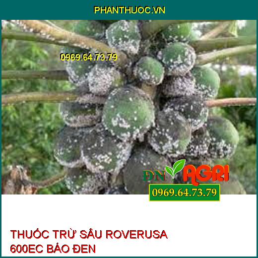 THUỐC TRỪ SÂU ROVERUSA 600EC BÁO ĐEN – Đặc Trị Tuyến Trùng, Rệp Sáp, Rầy Xanh, Bọ Trĩ