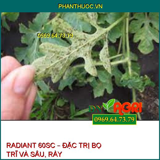 THUỐC TRỪ SÂU SINH HỌC RADIANT 60SC – Đặc Trị Bọ Trĩ Và Sâu, Rầy Khó Trị Trên Cây Trồng