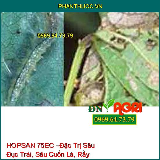 THUỐC TRỪ SÂU HOPSAN 75EC –Đặc Trị Sâu Đục Trái Hại Bắp, Sâu Cuốn Lá, Rầy Trắng