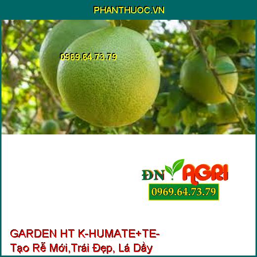 GARDEN HT K-HUMATE +TE-Tái Tạo Rễ Mới, Trái Đẹp , Nặng Ký, Đâm Đọt Mạnh, Lá Dày