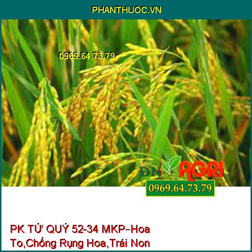 PHÂN BÓN RỄ PK TỨ QUÝ 52-34 MKP –Hoa To, Cuống Khỏe, Chống Rụng Hoa, Trái Non