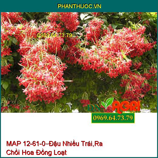 PHÂN BÓN PHỨC HỢP MAP 12-61-0 –Đậu Nhiều Trái, Nặng Ký, Ra Chồi Hoa Đồng Loạt