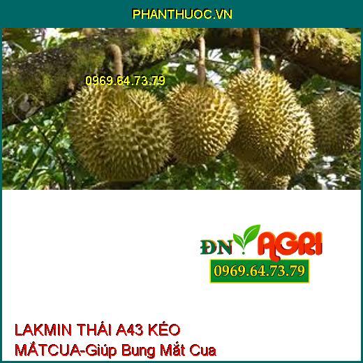 LAKMIN THÁI A43 KÉO MẮT CUA –Giúp Bung Mắt Cua, Ra Hoa Đồng Loạt ,Hạn Chế Đi Đọt