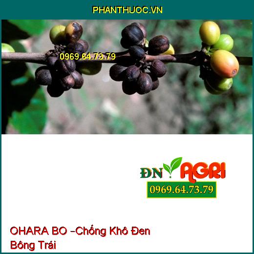 PHÂN BÓN VI LƯỢNG OHARA BO –Chống Khô Đen Bông Trái, Tăng Hàm Lượng Tinh Bột