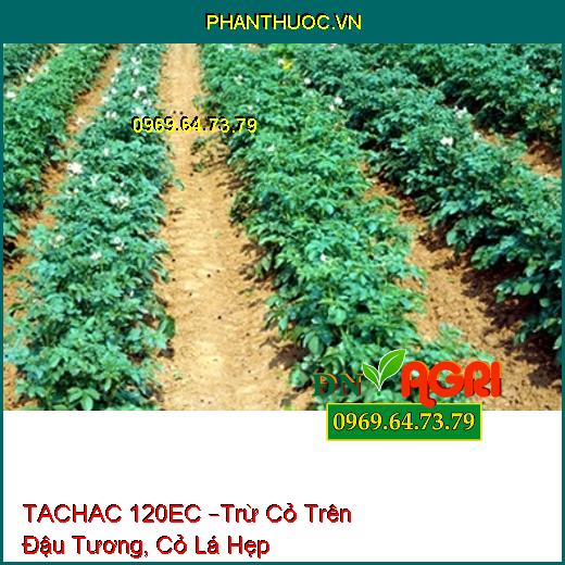 TACHAC 120EC –Trừ Cỏ Trên Đậu Tương, Cỏ Lá Hẹp Hàng Năm, Lâu Năm