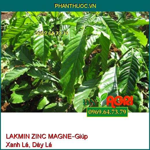 MAGNE KẼM MAGNE KẼM MAGNE LAKMIN ZINC MAGNE – Giúp Xanh Lá, Chống Lá, Chống Xoắn Đọt Non.