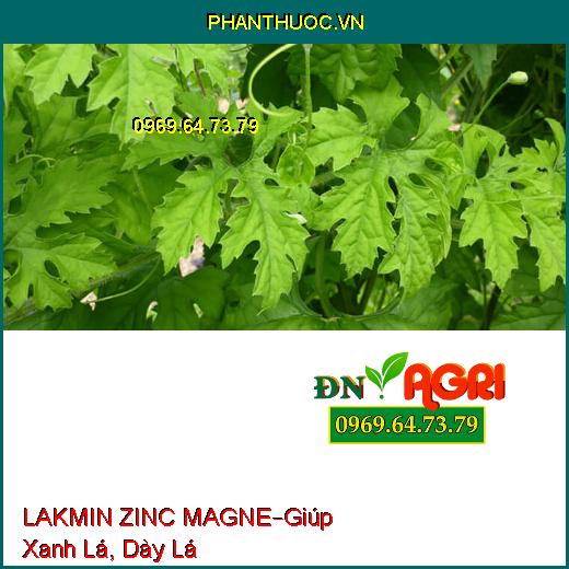 MAGNE KẼM MAGNE KẼM MAGNE LAKMIN ZINC MAGNE – Giúp Xanh Lá, Chống Lá, Chống Xoắn Đọt Non.