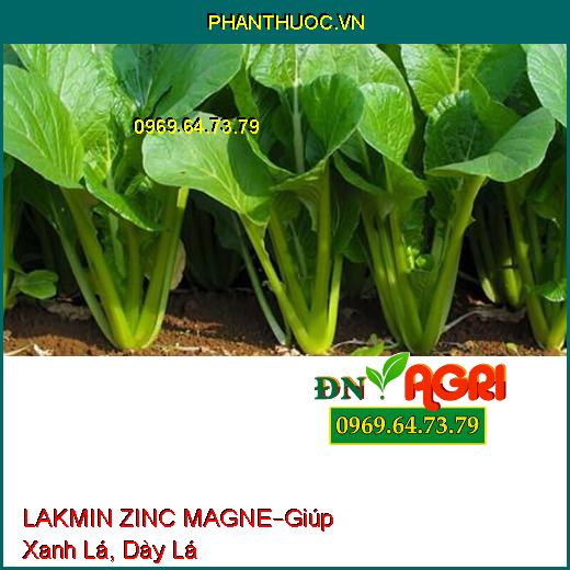 MAGNE KẼM MAGNE KẼM MAGNE LAKMIN ZINC MAGNE – Giúp Xanh Lá, Chống Lá, Chống Xoắn Đọt Non.