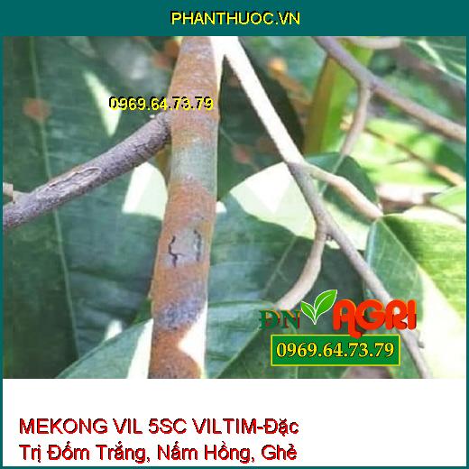 MEKONG VIL 5SC VILTIM-Đặc Trị Đốm Trắng, Nấm Hồng, Ghẻ Sẹo ,Thán Thư