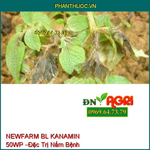 NEWFARM BL KANAMIN 50WP –Đặc Trị Nấm Bệnh Và Vi Khuẩn, Sạch Bệnh Xanh Cây