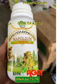 PHÂN BÓN NAPOLEON BUNG HOA ĐỒNG LOẠT – Tăng Thụ Phấn, Đậu Trái, Lớn Trái, Chống Rụng Trái Non