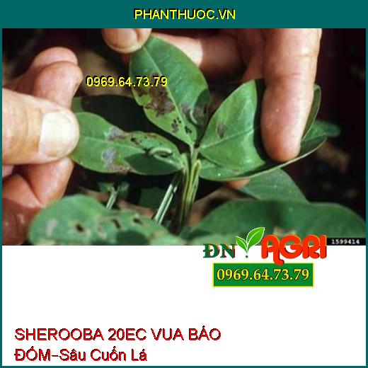 SHEROOBA 20EC VUA BÁO ĐỐM – Sâu Cuốn Lá, Sâu Tơ, Sâu Khoang, Sâu Xanh, Nhện Đỏ