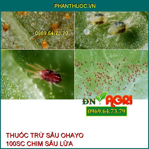 THUỐC TRỪ SÂU OHAYO 100SC CHIM SÂU LỬA – Đặc Trị Sâu Cuốn Lá, Nhện Gié, Bù Lạch, Sâu Xanh