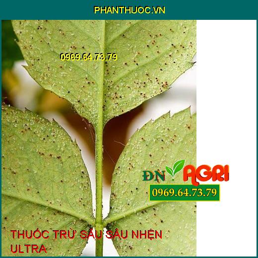 THUỐC TRỪ SÂU SÂU NHỆN ULTRA – Đặc Trị Sâu Xanh, Sâu Vẽ Bùa, Sâu Lông, Sâu Đục Trái, Nhện Đỏ, Rầy Xanh