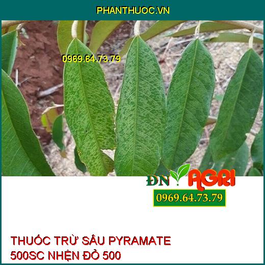 THUỐC TRỪ SÂU PYRAMATE 500SC NHỆN ĐỎ 500 – Đặc Trị Nhện Đỏ, Nhện Vàng, Nhện Trắng, Nhện Gié, Ung Trứng Nhện, Nhện Kháng Thuốc