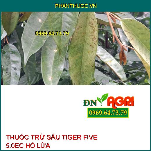 THUỐC TRỪ SÂU TIGER FIVE 5.0EC HỔ LỬA – Đặc Trị Sâu Vẽ Bùa, Sâu Xanh Da Láng, Ruồi Vàng, Rầy Xanh, Bọ Xít Muỗi, Bọ Trĩ, Nhện Đỏ